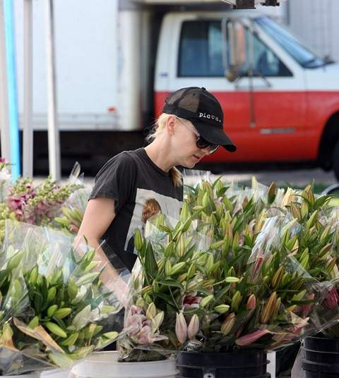 Anna Faris at the Farmers Market in Studio City  r P  rPictured  Anna Faris r P  B Ref  SPL599414  250813    B  BR   rPicture by  J H E D    Splash News BR   r  P  P  r B Splash News and Pictures  B  BR   rLos Angeles  310-821-2666 BR   rNew York  212-619