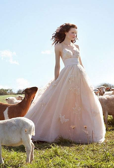 brides 7 