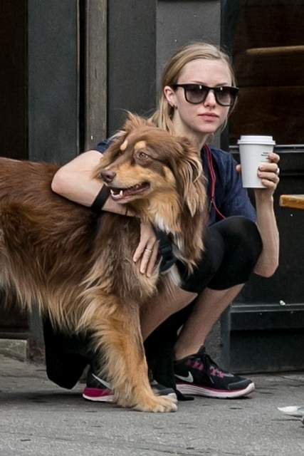 Amanda Seyfried and Finn make new friends in NYC - Part 2
