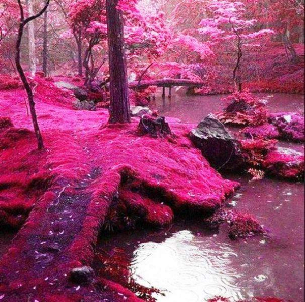 amazing places 1 