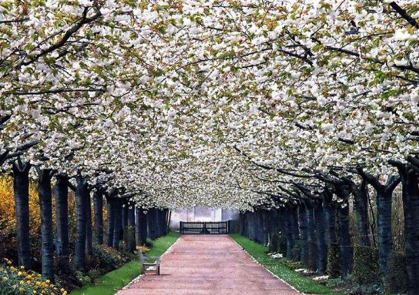 amazing places 8 