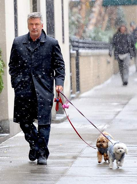 Alec Baldwin walks his dogs in the snow in NYC r P rPictured Alec Baldwin r P B Ref SPL668024 141213 B BR rPicture by JDH Imagez Splash News BR r P P r B Splash News and Pictures B BR rLos Angeles 310-821-2666 BR rNew York 212-