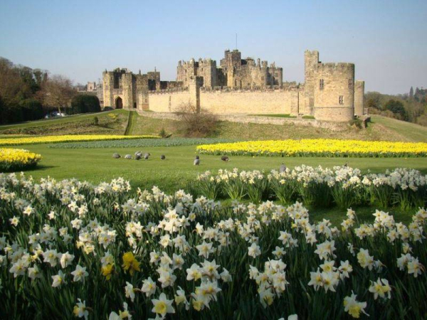 Alnwick castle in Spring