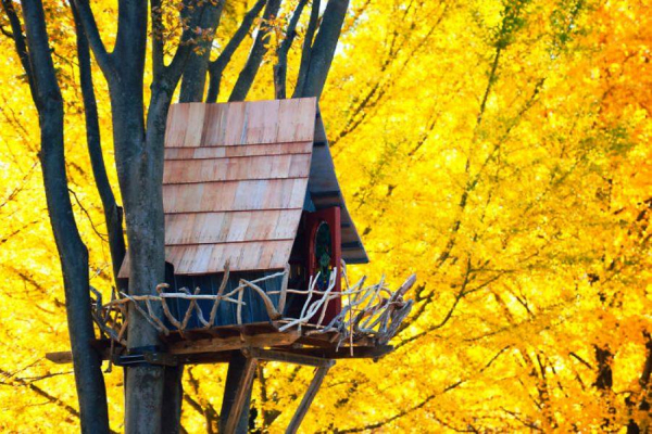Post-The-Most-Beautiful-Treehouses-From-All-Over-The-World4  700