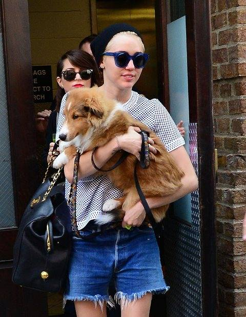 Monday-Miley-Cyrus-carried-her-new-puppy-through-streets