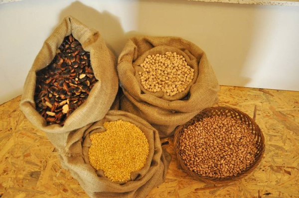 greek gastronomy museum 7 