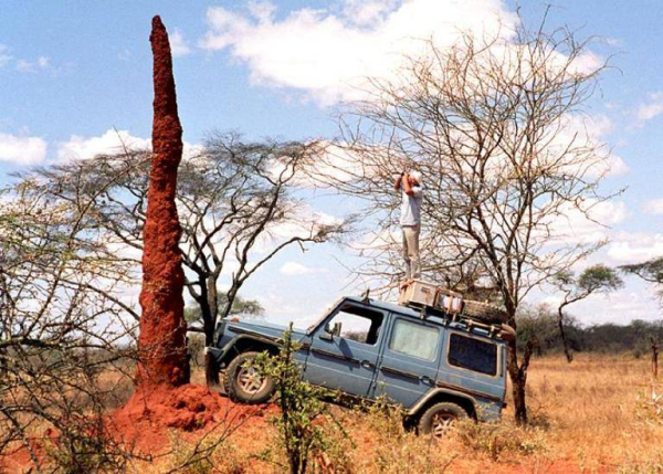 700x500 3africa 90743 23 1-lr 1