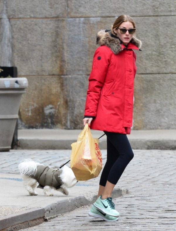 NEW YORK  NY - APRIL 07   Olivia Palermo  is seen walking her dog in Brooklyn on April 7  2014 in New York City    Photo by Raymond Hall GC Images 