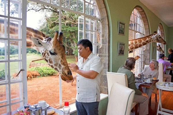  5 Giraffe Manor  Kenya 1