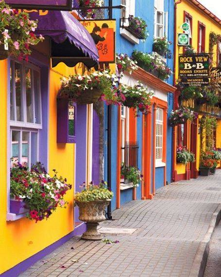 Scenic Street  Country Cork  Ireland 