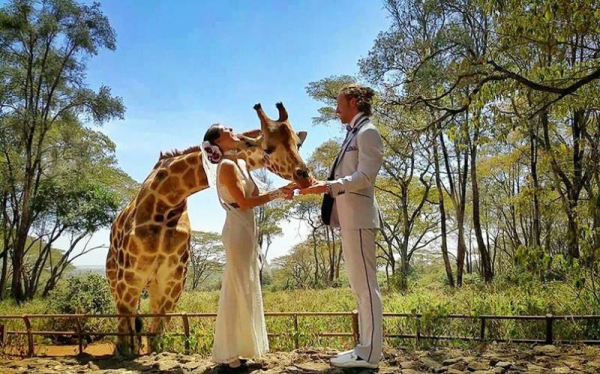 couple-wedding-around-the-world-travel-cheetah-rhiann-11
