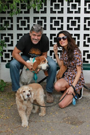 George-Amal-Clooney-