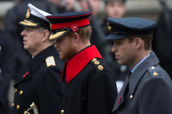 Prince-Harry-Prince-William-Remembrance-Day-2015  7 