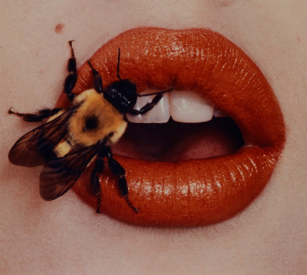 Bee New York 1995