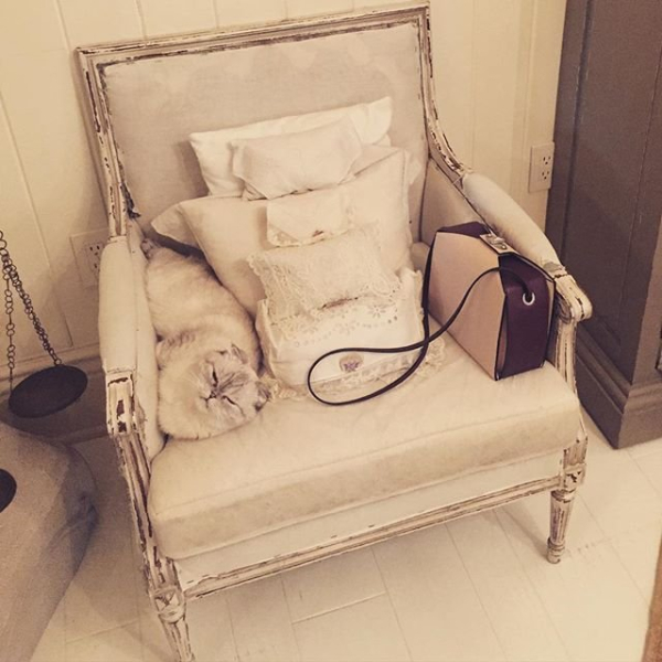 When-Olivia-curled-up-chair-more-beautiful-than-anything-you-own