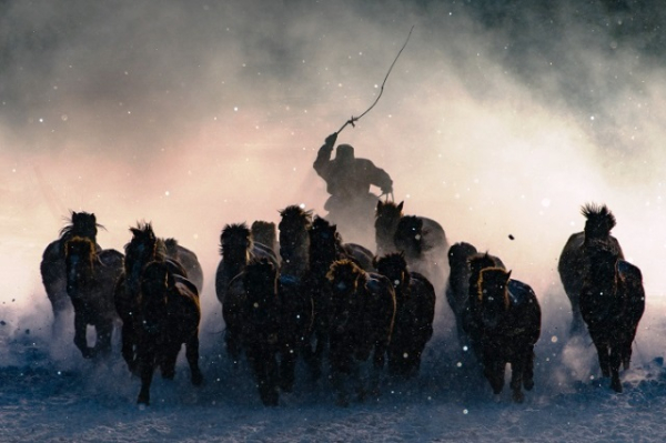 01GrandPrize-Winter-Horsemen-Anthony-Lau.jpg
