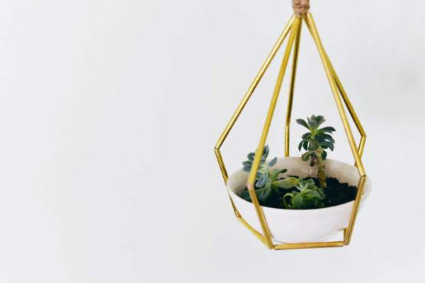 hanging-planter-simple-diy-g