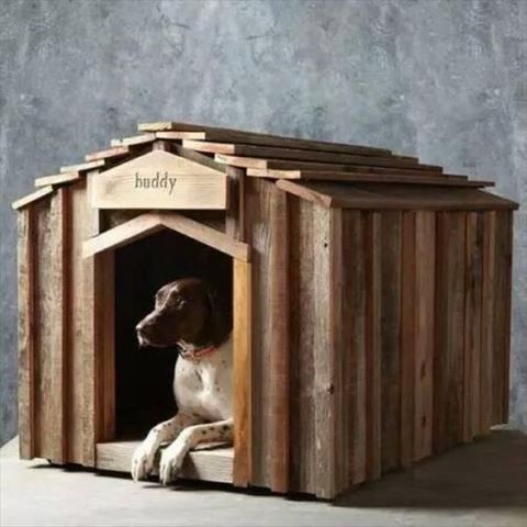 house-for-dog-180628.jpg