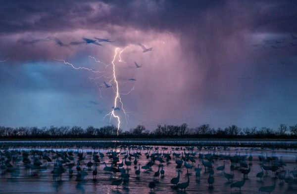 Photo by Randy Olson.