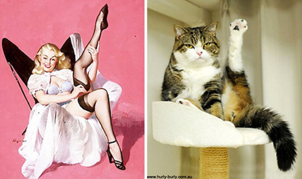 cats-pin-up-girls-f.jpg