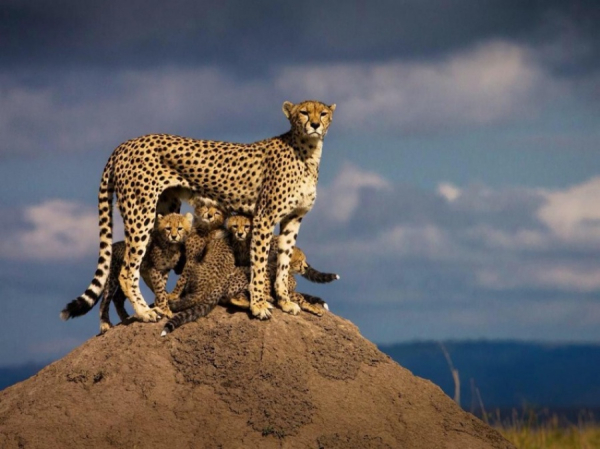 omorfesphoto-g.jpg