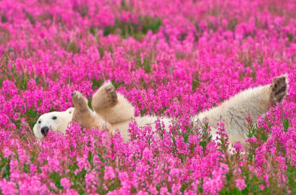 omorfesphoto-l.jpg