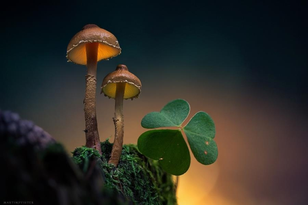 omorfesphoto-m.jpg