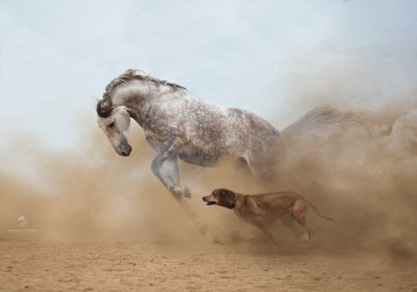 omorfesphoto-n.jpg