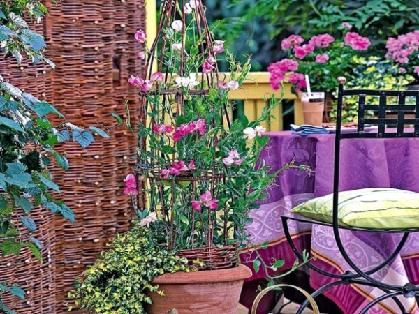 balcony-planting-flowers-colorful-oasis-in-the-cold-season-5-813-1.jpg