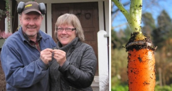 Η Lena Påhlsson βρήκε μία βέρα που εξαφανίστηκε πριν από 16 χρόνια όταν φύτευε λαχανικά στον κήπο της. Ένα καρότο φύτρωσε μέσα από το δαχτυλίδι και βγήκε από το χώμα με το δαχτυλίδι επάνω του.