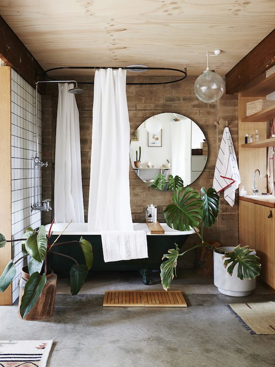 Τα πράσινα φυτά εσωτερικού χώρου, ακόμα και σε δωμάτια όπως το μπάνιο.