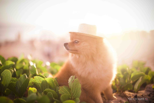 Sunny day!