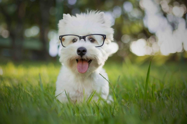 Sophisticated look.