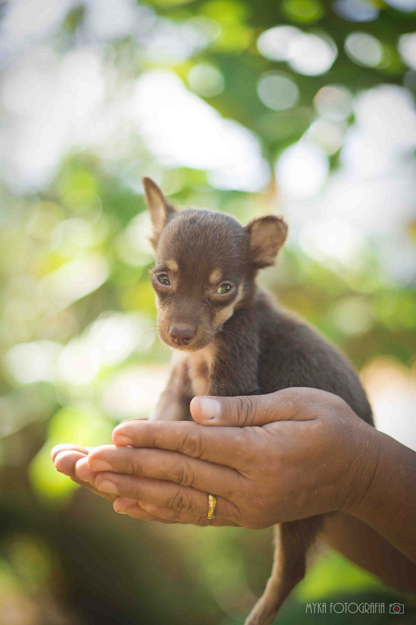 Hello little guy!