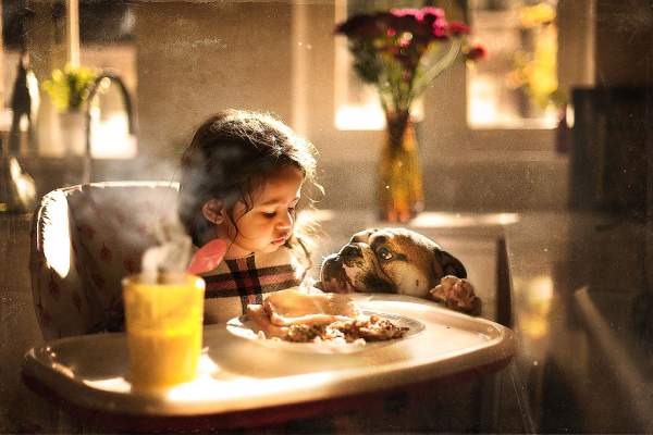 i-tried-photographing-my-daughter-and-my-dog-it-almost-led-to-a-divorce-58e6550586c8a-880.jpg