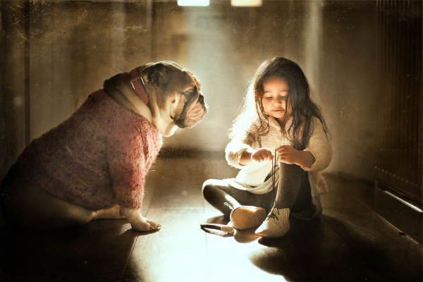 i-tried-photographing-my-daughter-and-my-dog-it-almost-led-to-a-divorce-58e6553047976-880.jpg