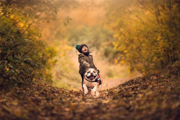 i-tried-photographing-my-daughter-and-my-dog-it-almost-led-to-a-divorce-58e75d48a81e4-880.jpg