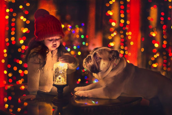 i-tried-photographing-my-daughter-and-my-dog-it-almost-led-to-a-divorce-58e75d55abe4d-880.jpg