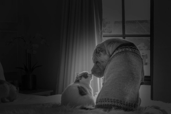 img-4165-58ff259a4b05d-880.jpg