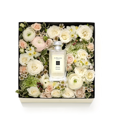 Ένα άρωμα που θα λατρέψει.
Star Magnolia Jo Malone London