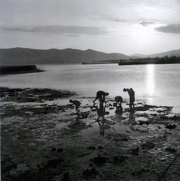 Μάζεμα καβουριών, Κάρυστος, 1950-55. Φωτογραφία: Βούλα Παπαϊωάννου. Φωτογραφικά Αρχεία Μουσείου Μπενάκη