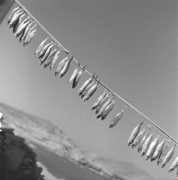 Πάρος, 1960. Φωτ.Ζαχαρίας Στέλλας
Φωτογραφικά Αρχεία Μουσείου Μπενάκη