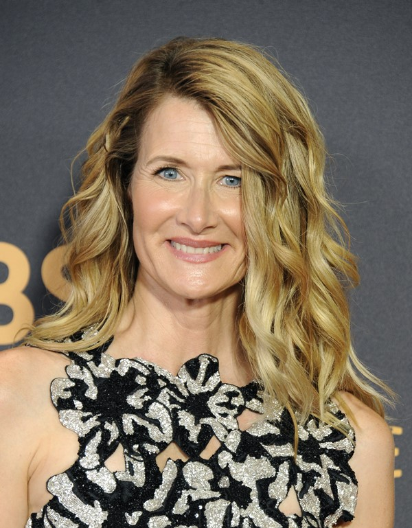 Laura Dern: Επέλεξε φυσικό μακιγιάζ, ωστόσο τόνισε βασικά σημεία του προσώπου της όπως είναι τα φρύδια της.