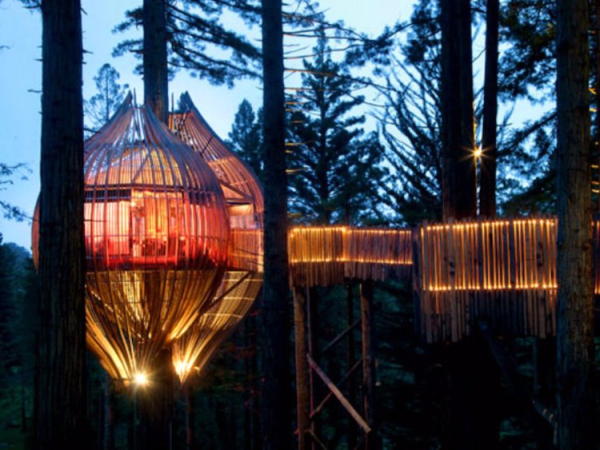 The Redwoods Treehouse in Auckland, New Zealand