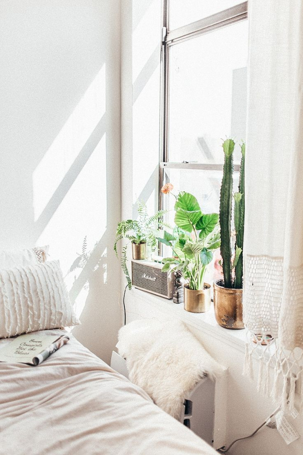 Τα φυτά που θα φέρουν ζωντάνια αλλά και χαλάρωση στην κρεβατοκάμαρά μας.