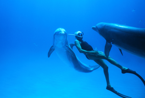 Ο Jacques Mayol κολυμπάει με τα δελφίνια Bimini και Stripe στις Μπαχάμες το 1994 (photo: Junji Takasago)

