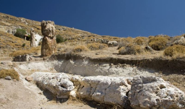 Το Απολιθωμένο Δάσος, Λέσβος