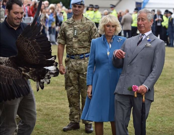 Η στιγμή που ένας αετός τρόμαξε τον Charles: Σε μία επίσκεψή του στο Sandringham Flower Show, ο πρίγκιπας Charles φωτογραφήθηκε την ώρα που ένας αετός άρχισε να χτυπάει ενθουσιασμένος τα φτερά του.