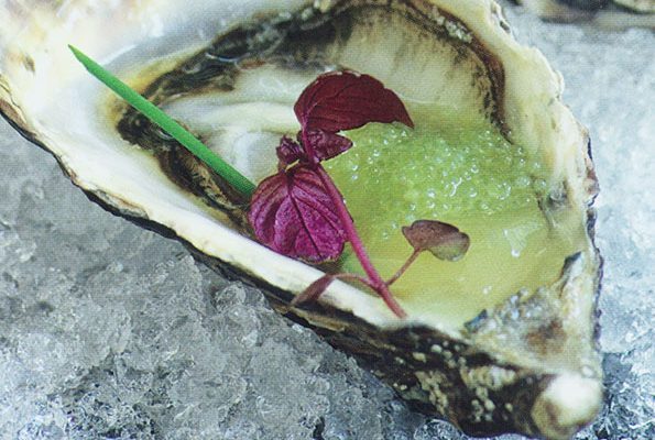 Yuzu Oysters 