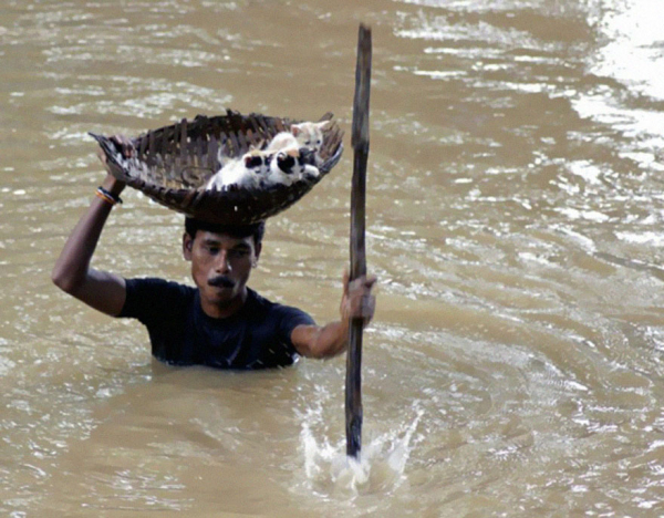 Ηρωικός χωρικός στην Ινδία σώζει γατάκια κατά τη διάρκεια τεράστιων πλημμύρων | Biswaranjan Rout / AP
